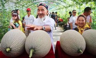 车车吃哈密瓜,车车与哈密瓜的甜蜜邂逅