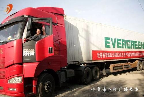 车车吃哈密瓜,车车与哈密瓜的甜蜜邂逅