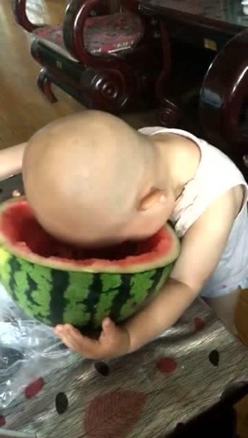 吃瓜大头搞笑音乐,欢乐旋律中的趣味人生