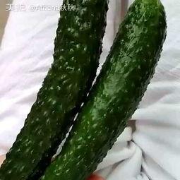 小瓜吃货3,美食探险之旅，解锁味蕾新境界