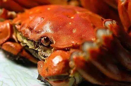 大闸蟹吃兰瓜,一场味蕾的跨界盛宴