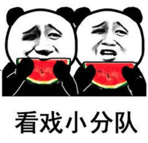 少女吃瓜表情包,揭秘网络时代的趣味与社交新风尚