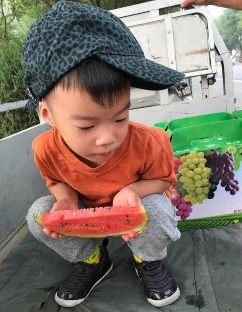 吃瓜吃瓜爆料,娱乐圈最新爆料大揭秘