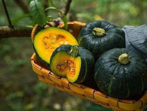 银板栗瓜怎么吃,解锁美味新境界