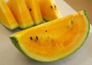 吃瓜黄色瓜最新,探寻网络热词背后的文化现象