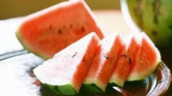 湖经吃瓜食堂,校园美食新地标，舌尖上的校园生活揭秘