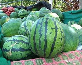 误会吃瓜,一场吃瓜引发的连锁反应