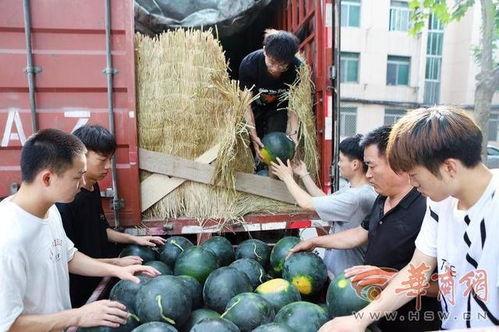 山西某师范吃瓜,揭秘校园美食背后的故事