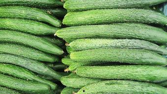 孕妇可以吃葫瓜,孕妇适量食用葫瓜的益处与建议