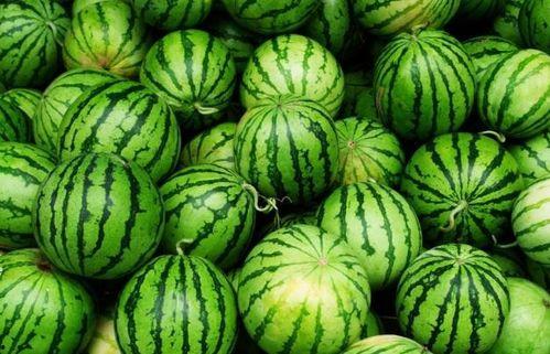 吃的还有啥瓜,探寻美食中的“瓜”世界