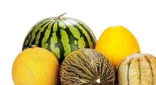 吃的还有啥瓜,探寻美食中的“瓜”世界