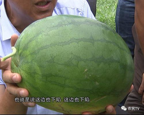 吃瓜boting,揭秘娱乐圈幕后故事，带你领略明星真实生活