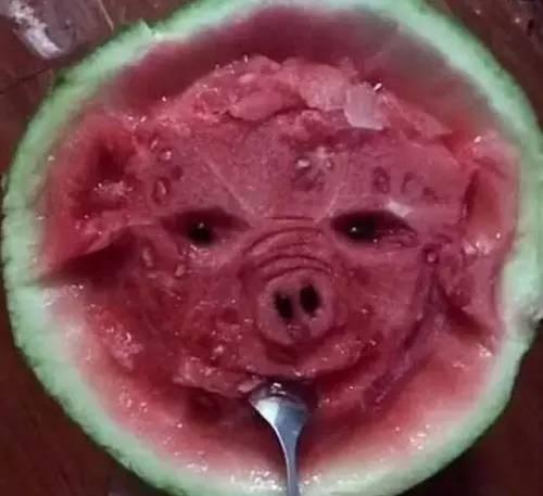 广西艺术吃瓜,探寻地方特色美食与文化的交融之旅