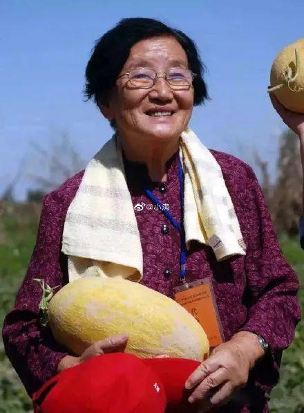 袁隆平同学吃瓜,瓜田里的科学探索与人生感悟  第2张