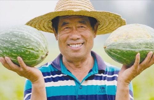 袁隆平同学吃瓜,瓜田里的科学探索与人生感悟  第3张