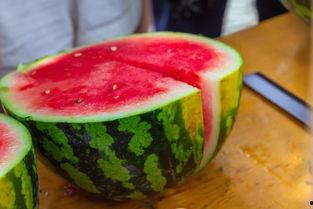 延边大学西部吃瓜,一场别开生面的“吃瓜”盛宴  第2张