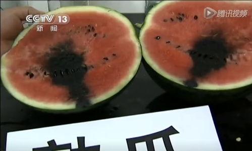 带头吃瓜西瓜视频  第3张