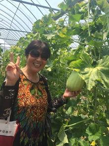 贵州花园吃瓜现场  第2张