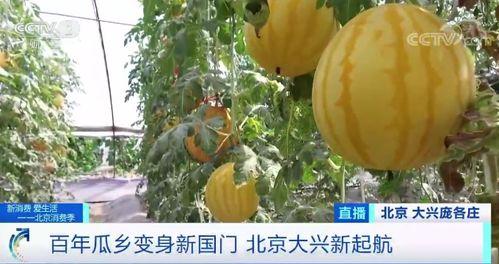 贵州花园吃瓜现场  第3张