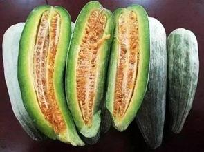 淮南寿县哪里吃瓜最好,探寻最佳吃瓜胜地 第1张 淮南寿县哪里吃瓜最好,探寻最佳吃瓜胜地 第1张