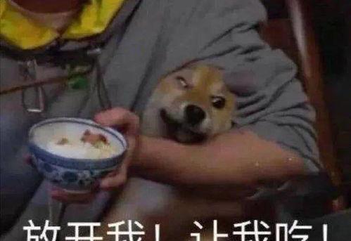 刘大瓜吃烤羊,一场味蕾与视觉的狂欢之旅  第3张