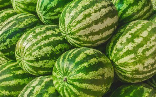 一般吃瓜在哪儿吃瓜,吃瓜群众何处觅清凉？