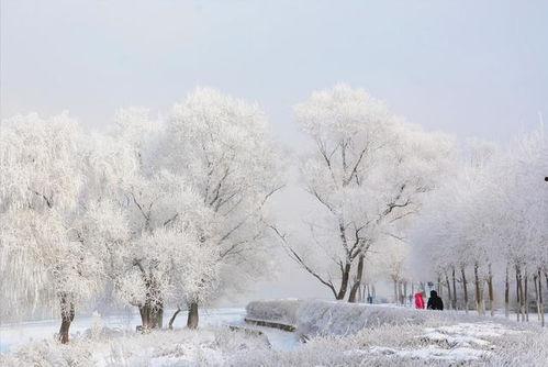 回首山河已入冬吃瓜,回首山河，品味岁月流转  第1张