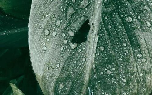 回首山河已入冬吃瓜,回首山河，品味岁月流转  第3张