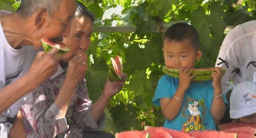 靖远吃瓜群众新闻,最新新闻事件深度解析  第1张