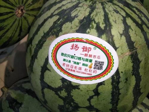 吃瓜网每日主题,聚焦娱乐圈最新动态 第2张 吃瓜网每日主题,聚焦娱乐圈最新动态 第2张