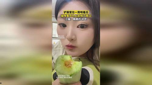 一旁吃瓜,揭秘吃瓜群众的趣味生活