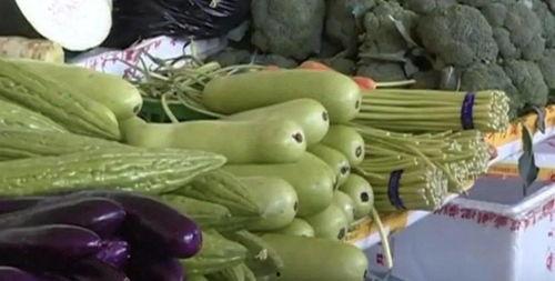 吃蜜瓜有股苦味,揭秘甜蜜背后的苦涩真相 第2张 吃蜜瓜有股苦味,揭秘甜蜜背后的苦涩真相 第2张