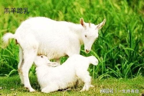 吃瓜网小羊,揭秘娱乐圈幕后故事,带你领略明星真实生活 第2张 吃瓜网小羊,揭秘娱乐圈幕后故事,带你领略明星真实生活 第2张