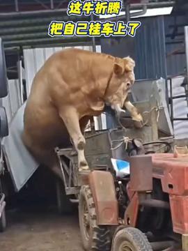 吃瓜网小羊,揭秘娱乐圈幕后故事,带你领略明星真实生活 第3张 吃瓜网小羊,揭秘娱乐圈幕后故事,带你领略明星真实生活 第3张