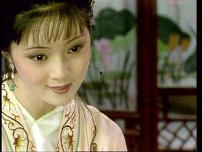 红楼宝钗的吃瓜人生