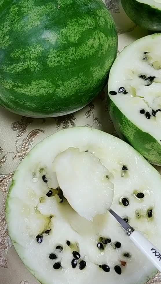 东北特色吃瓜场景,瓜香四溢,欢声笑语满园春 第1张 东北特色吃瓜场景,瓜香四溢,欢声笑语满园春 第1张