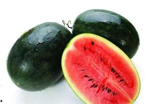 Rappr吃瓜  第3张