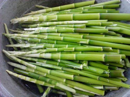 竹笋妹吃瓜,揭秘娱乐圈那些不为人知的幕后故事  第1张