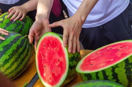 学院吃瓜完结,吃瓜大结局揭秘  第2张