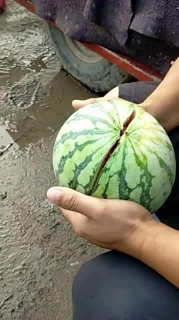 吃瓜第一弹  第3张