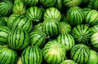 QQ优质吃瓜群推荐  第3张