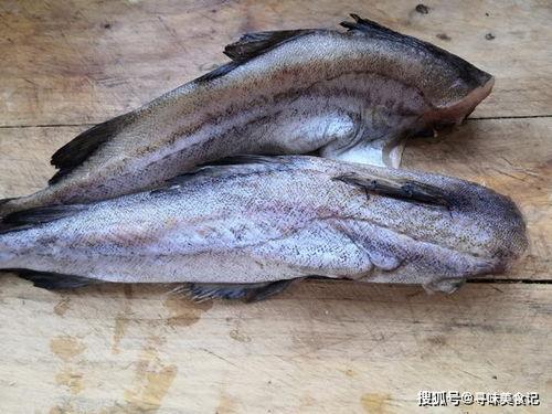 吃超大八瓜鱼视频 第2张 吃超大八瓜鱼视频 第2张