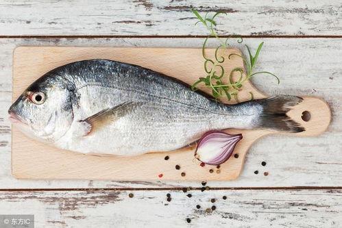 吃超大八瓜鱼视频 第3张 吃超大八瓜鱼视频 第3张