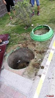 专业吃瓜小区,邻里间的欢乐八卦盛宴  第1张