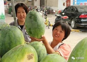 专业吃瓜小区,邻里间的欢乐八卦盛宴  第2张