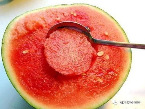 虚度吃瓜  第1张