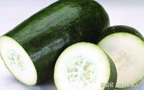 吃果不吃瓜指什么瓜,探寻网络流行语背后的文化内涵  第2张