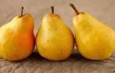 吃果不吃瓜指什么瓜,探寻网络流行语背后的文化内涵  第3张