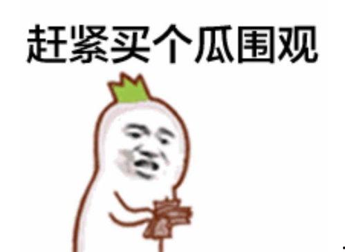 钱塘区吃瓜群众,揭秘当地美食风云录  第3张