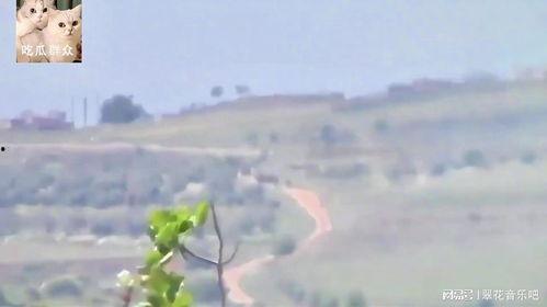 吃瓜上春山,探寻吃瓜者的春日山野之旅